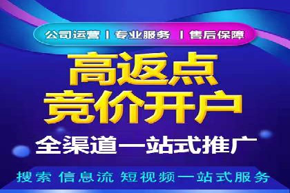 百度竞价广告投放案例解析